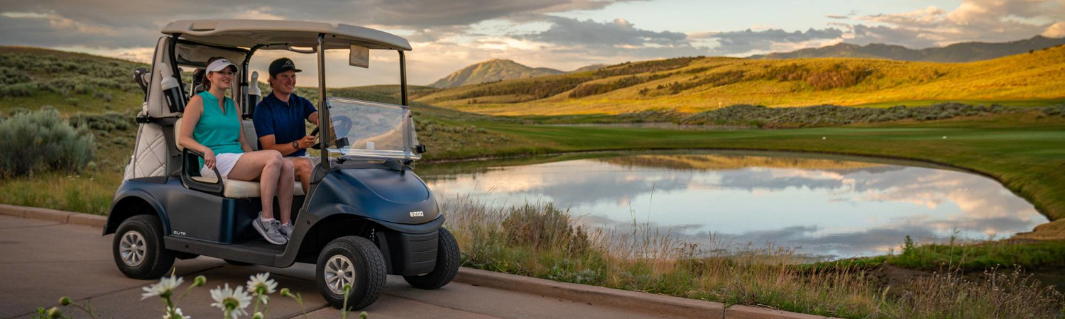 2021 E-Z-GO Fleet Golf Cart for sale in Little Egypt Golf Cars, Ltd., Salem, Illinois